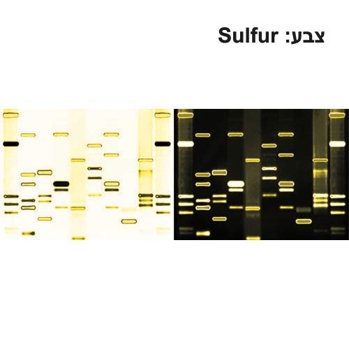 תמונת DNA זוגית גודל 60*90-21771