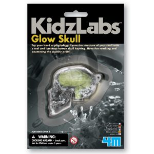 מעבדת הילדים - מחזיק מפתחות מדעי - גולגולת זוהרת בחושך-0