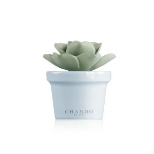 מפיץ ריח יוקרתי Mini succulent - תכלת - CHANDO-0