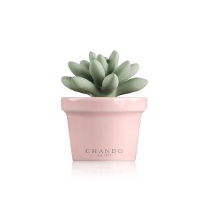 מפיץ ריח יוקרתי Mini succulent - ורוד - CHANDO-0