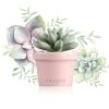 מפיץ ריח יוקרתי Mini succulent - ורוד - CHANDO-42056