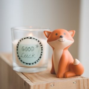 Cesar fox קופת חיסכון שועל - -0