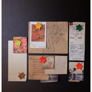 QUALY סט מגנטים מעוצבים עלי שלכת-0