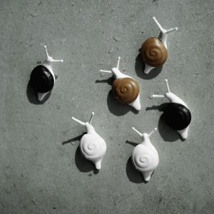 QUALY סט מגנטים מעוצבים למקרר חלזונות-0