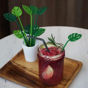 QUALY - עציץ הגשה טרופי-0