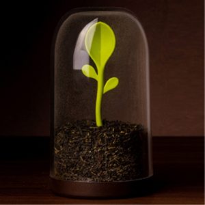 QUALY - כלי אחסון נבט-0