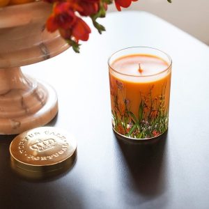 נר Portus-Cale Hummingbird-0