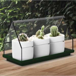 חממת גידול לסוקולנטים - QUALY-0