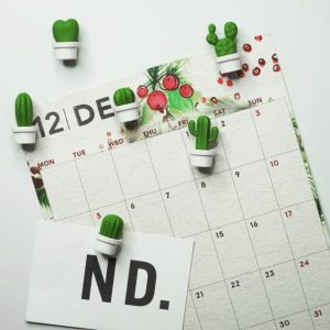 QUALY סט מגנטים מעוצבים למקרר קקטוס לבן-0