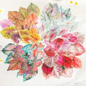 30 יח'חבילה עלים יצירתיים אסתטיים מדבקת דף מדבקות עבור מתכנני מחשב נייד